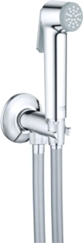 Grohe Tempesta handdouche chroom 26358000