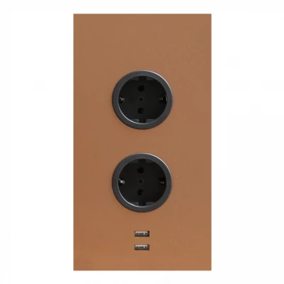 Indux Energiezuil 2ST22 met 2 stopcontacten en 2 usb aansluitingen Koper met Penaarde
