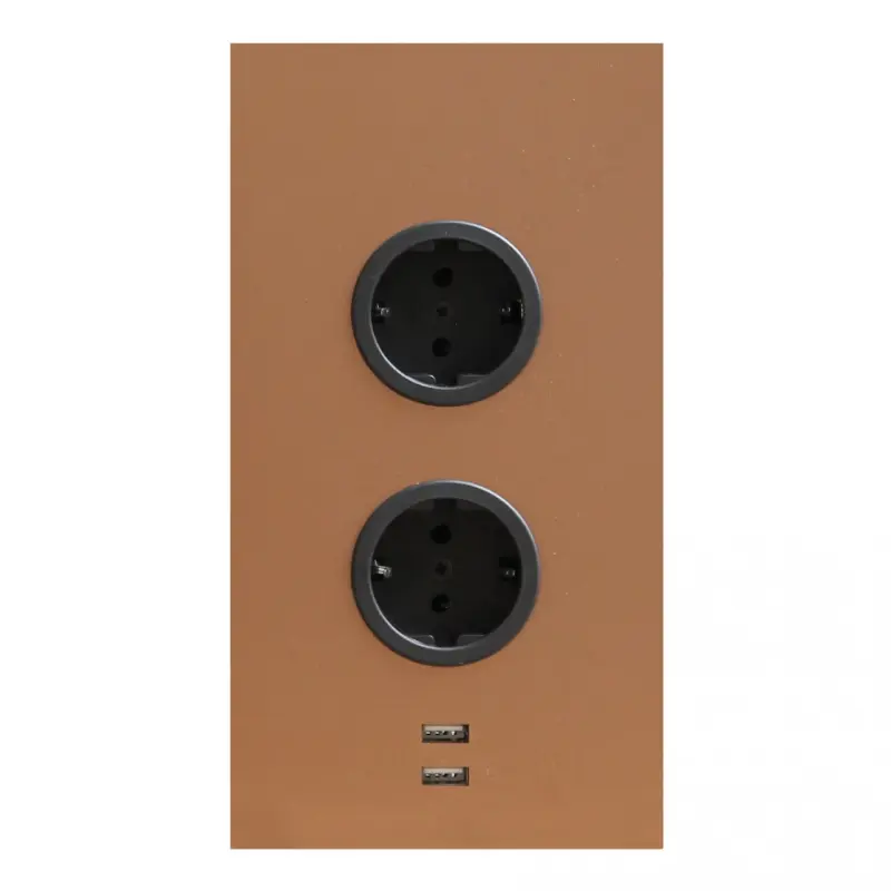 Indux Energiezuil 2ST22 met 2 stopcontacten en 2 usb aansluitingen Koper met Penaarde
